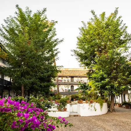 New In Traditional Building Of The Xvi Century Apartament Sewilla